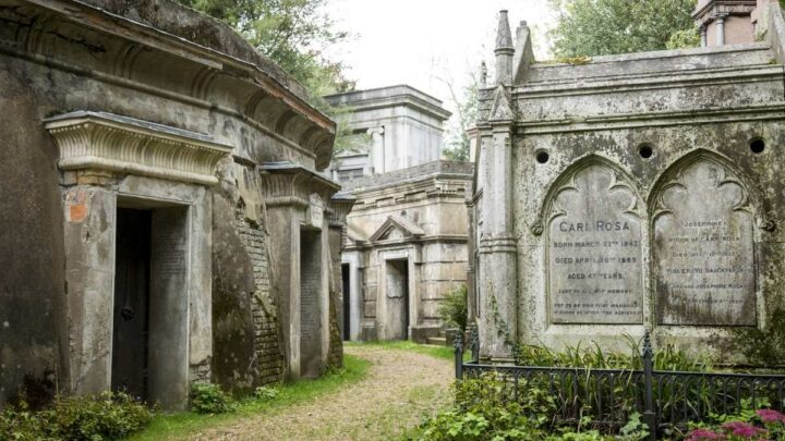 Highgate Cemetery: Discovering North London’s Famous Burial Ground