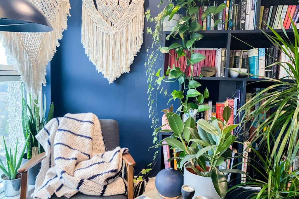 House Plant Delivery London