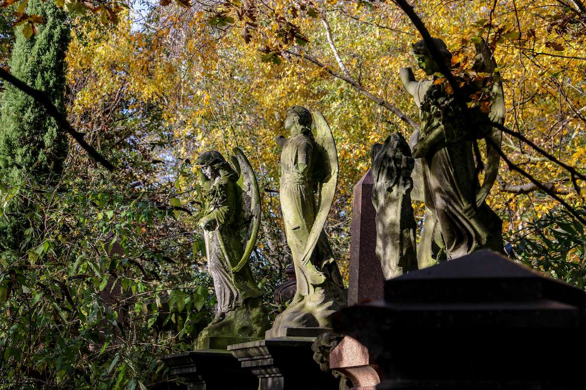 Best Things to do in Stoke Newington