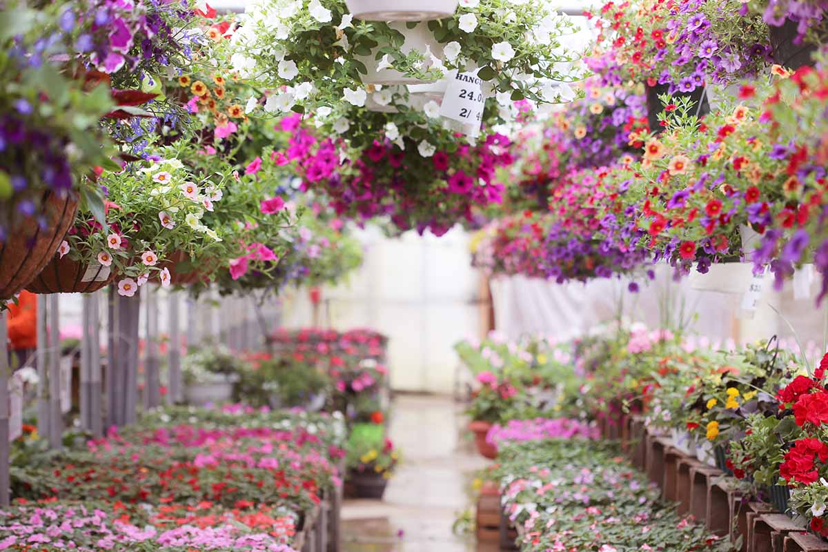 Best Garden Centres In London