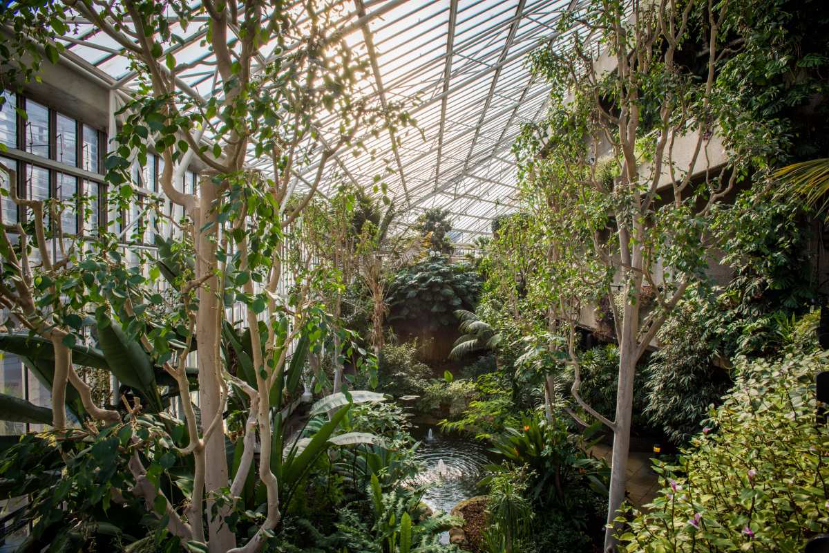 15 Brilliant Ideas for Banishing the Winter Blues in London