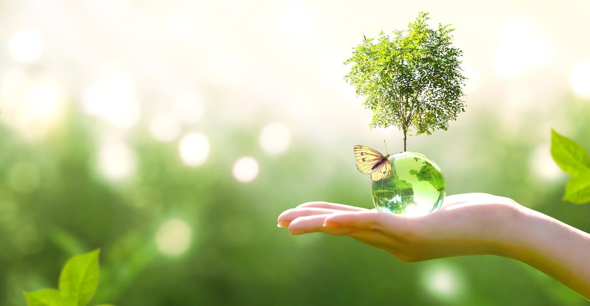 Celebrate Earth Day 2022 in London With These Excellent Events