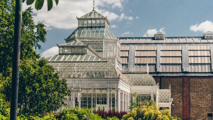 A Bumper Guide to 18 of the Best Museums in London