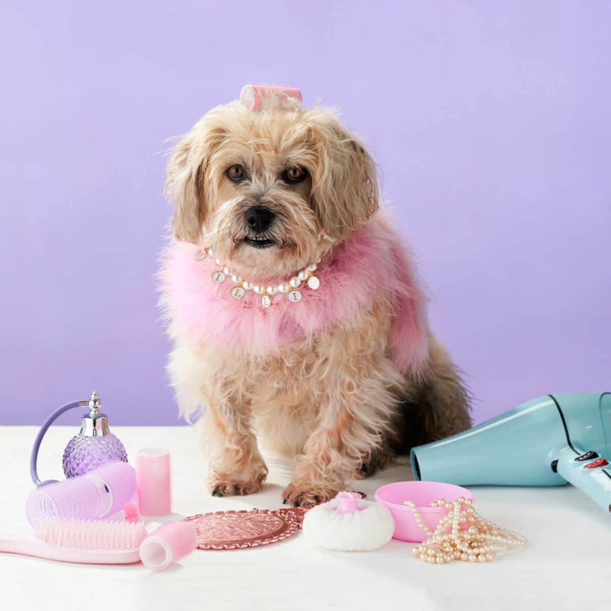 Dog Friendly Restaurants in London London x London