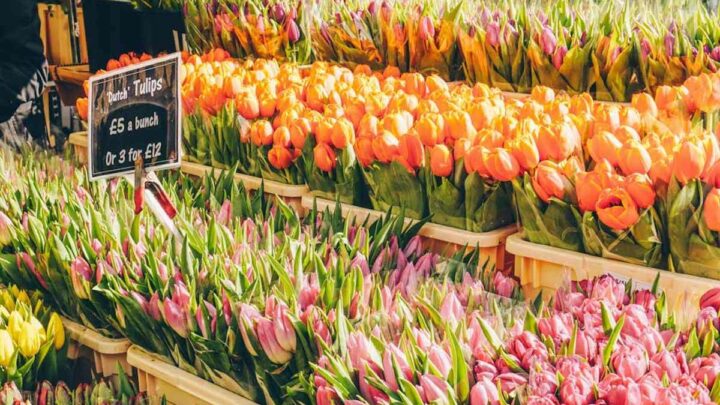 8 Bloomin’ Wonderful Flower Markets in London