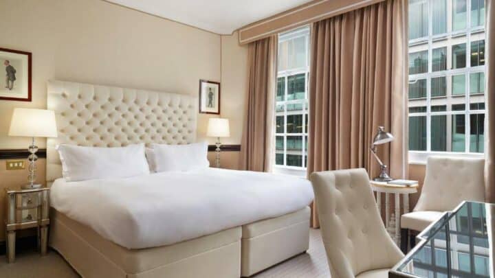 11 Pet Friendly Hotels in London for a Paw-Fect Stay