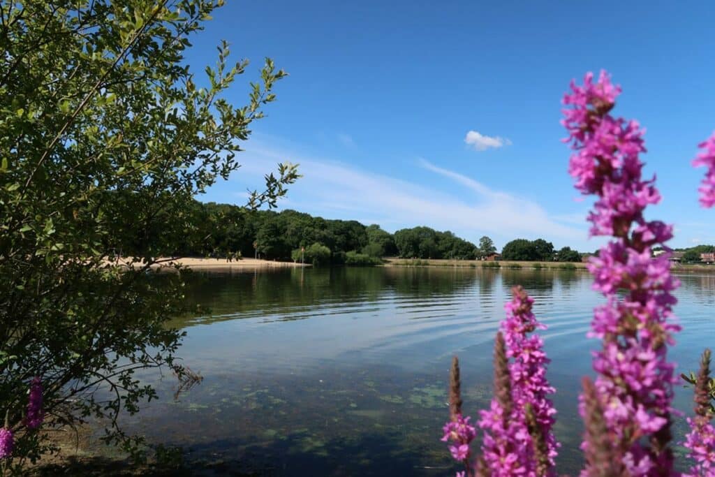 Ruislip Lido