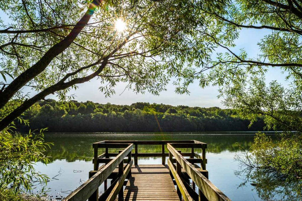 Ruislip Lido