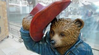 Paddington Bear