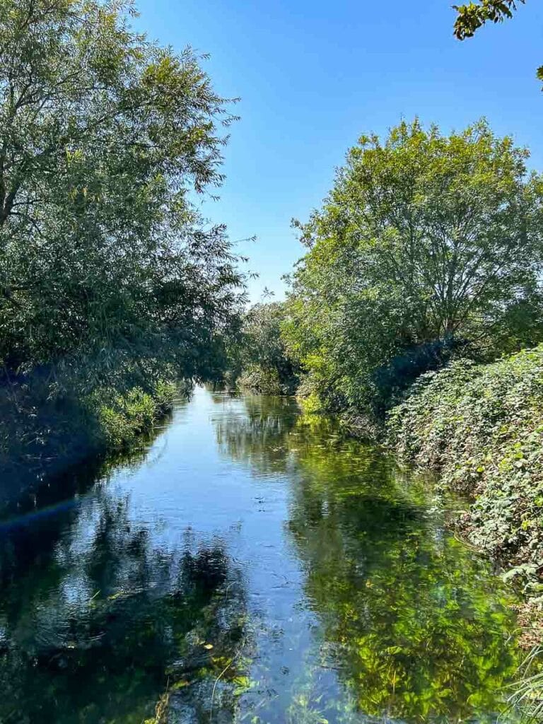 Walthamstow-Wetlands
