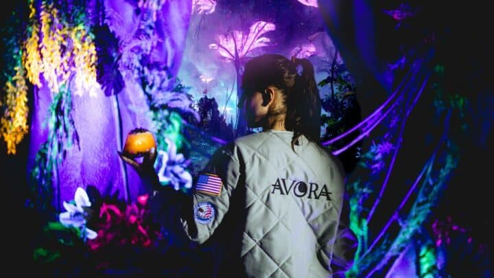 Avora: The Immersive Experience Where You Drink Cocktails to Save the World (Yes, Really)