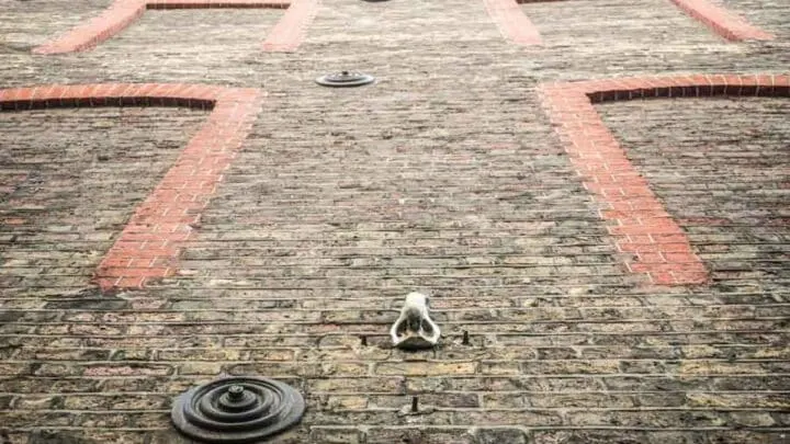 Have You Spotted The Seven Noses of Soho?