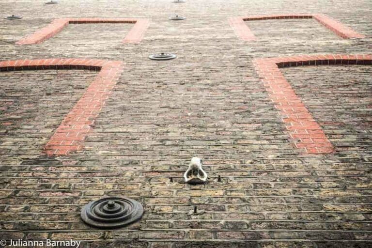 Have You Spotted The Seven Noses of Soho?