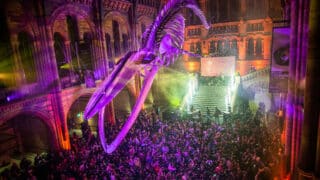 NYE Natural history bash