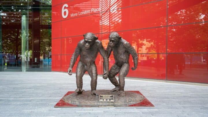 Following London’s Chimpanzee Trail