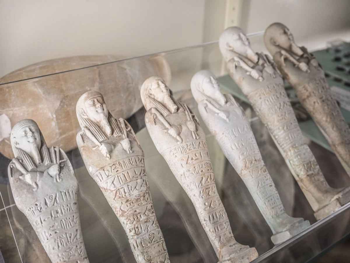 Display cases inside the Petrie Museum of Egyptian and Sudanese Archaeology
