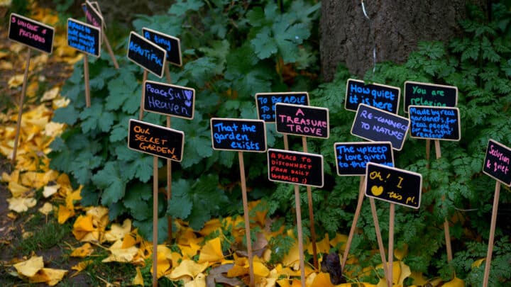 The Phoenix Garden: London’s Beautifully Hidden Green Space