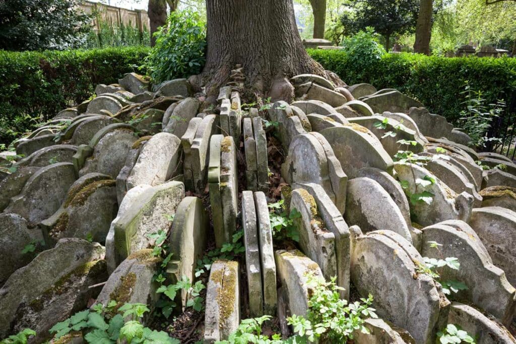 The Hardy Tree St Pancras Old Church