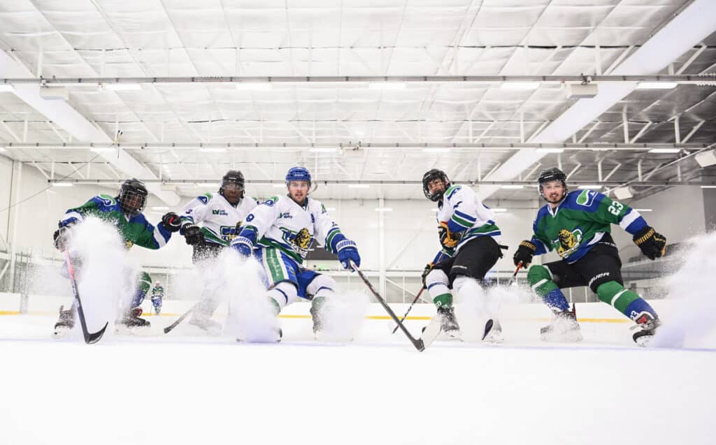 Lee Valley Ice Rink