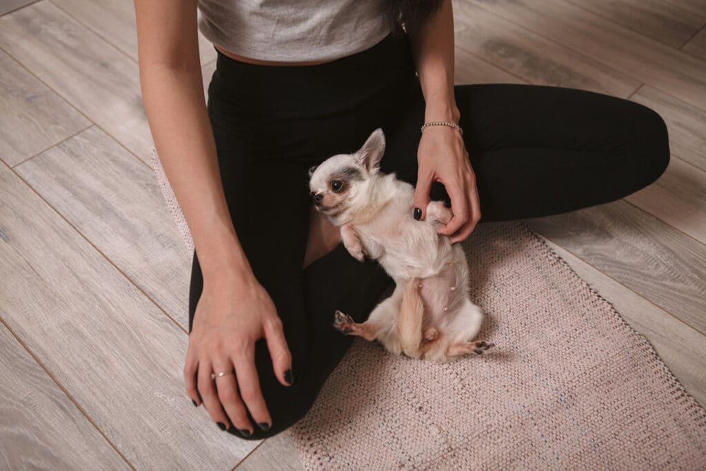 Puppy Yoga