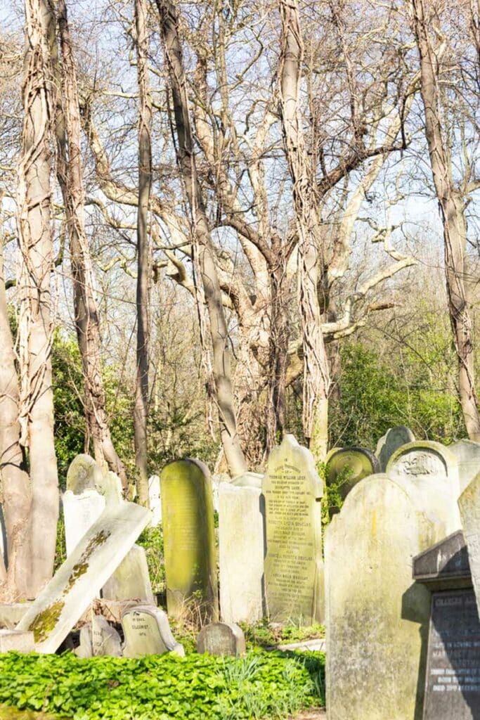 Tower Hamlets Cemetery Park