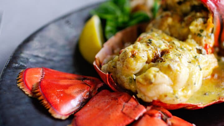 From Claw to Tail: Our Favourite Lobster Restaurants in London