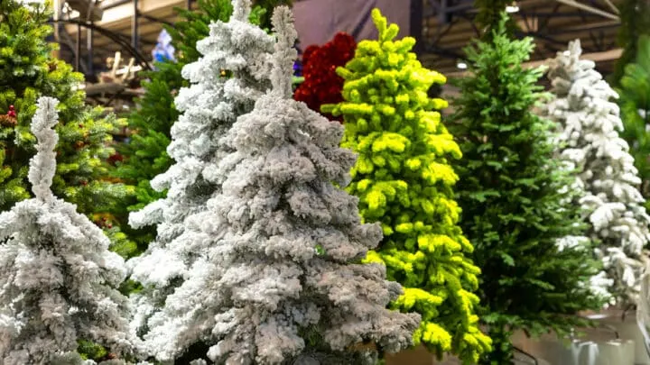 Where to Buy Christmas Trees in London: Brilliant Pick Your Own Spots