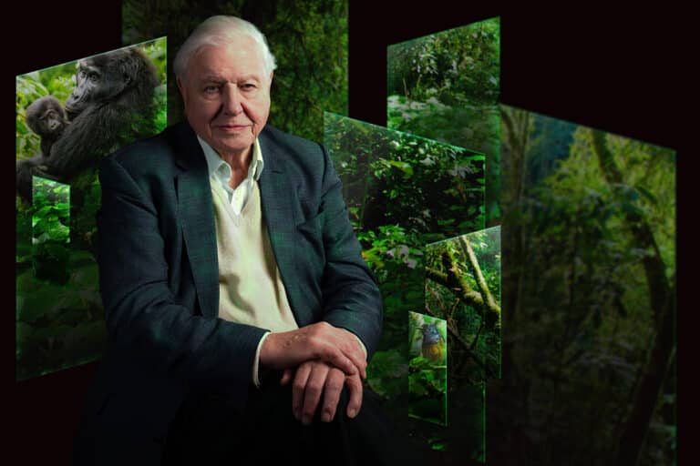 David Attenborough’s New Immersive Show Opens at the Natural History Museum Today (and it’s Incredible)