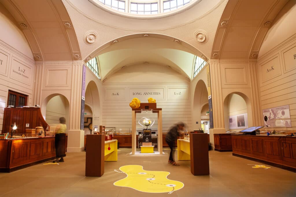 The exhibition as a whole