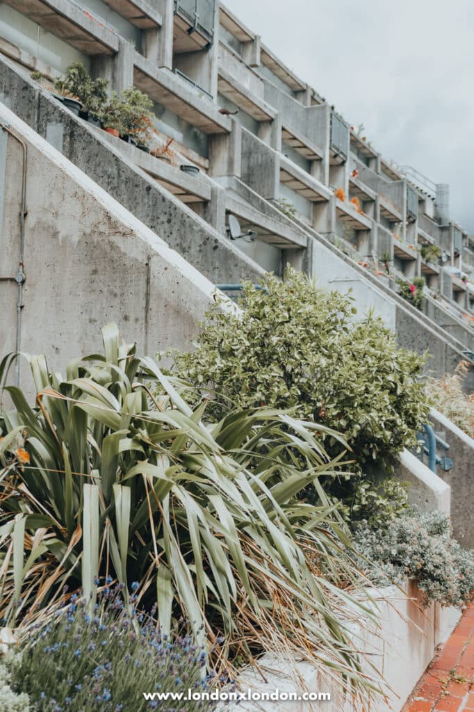 Tropical plants contrasting with the concrete