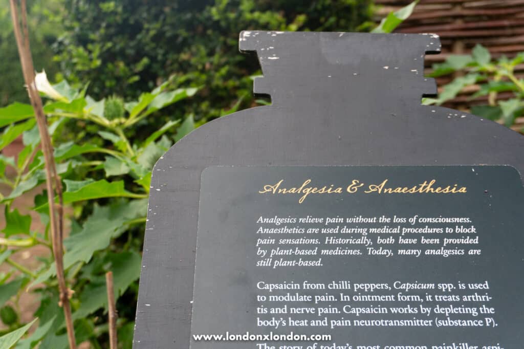 Sign indicating medicinal uses of the plants