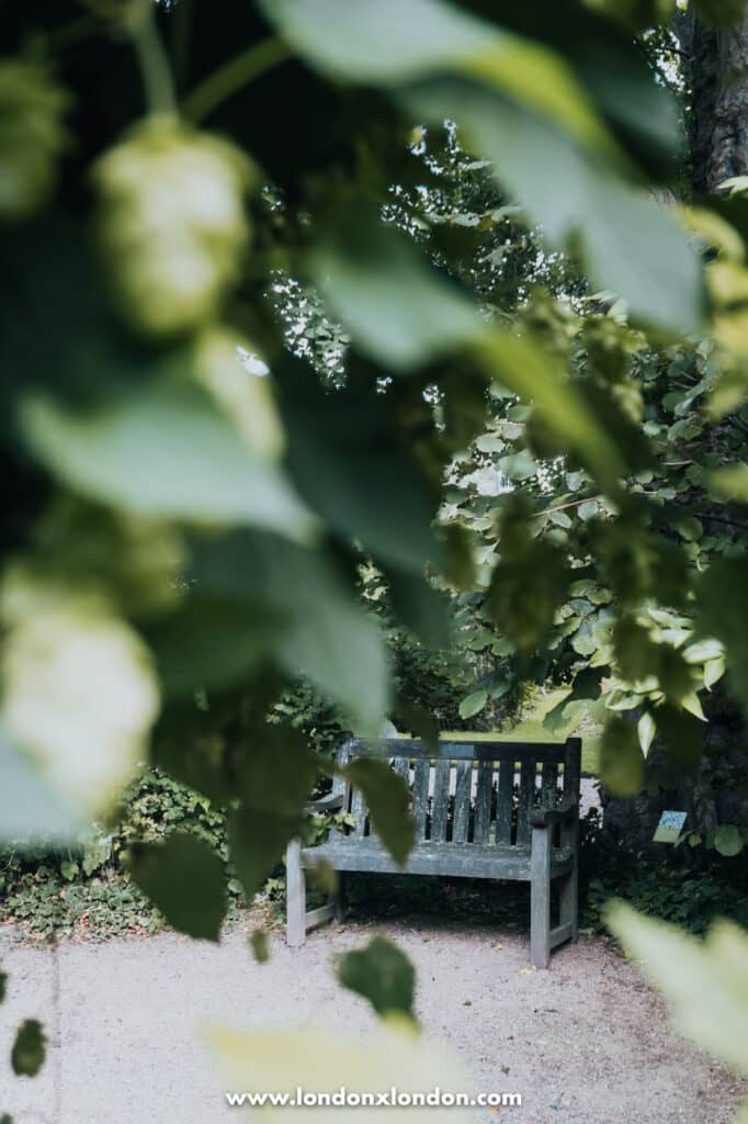 Bench and hops