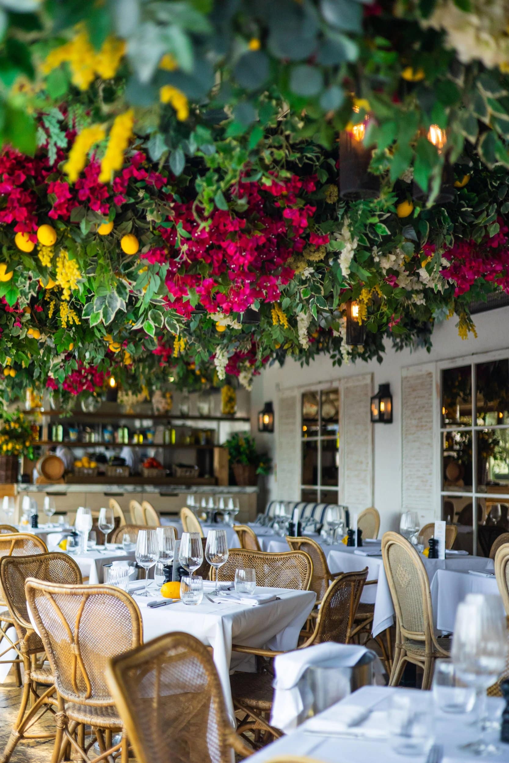 A closer view of the trailing bougainvillea and hanging lemons over alto by San Carlo's dining terrace
