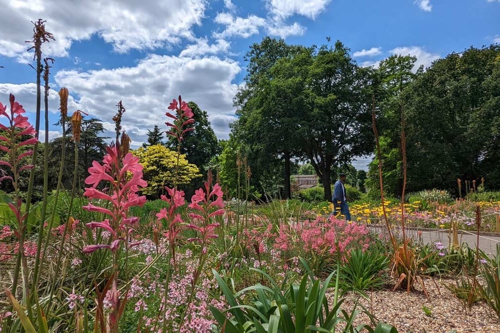 Flower beds in bloom at the Horniman Museum and Gardens during a previous Plant Fair