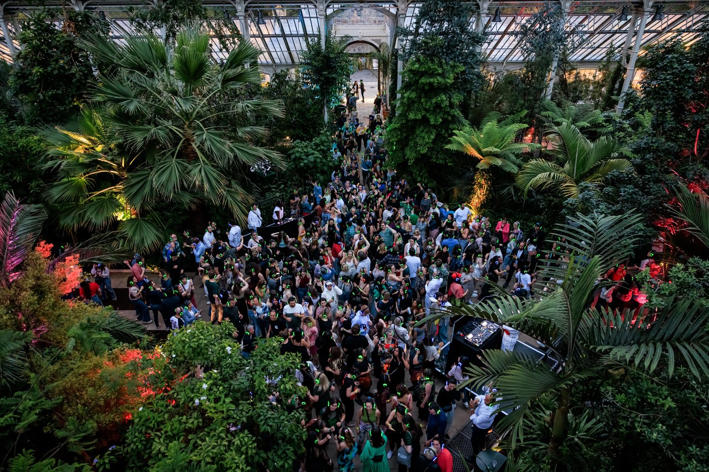 Kew is opening the Temperate House after dark for a silent disco among 10,000 plants