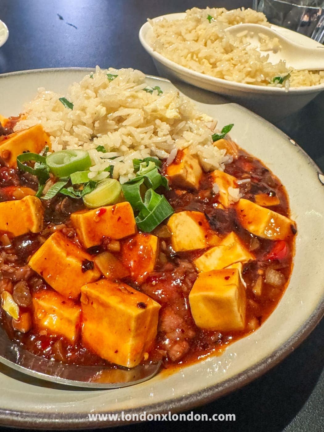 Mapo tofu at Royal China Chinatown