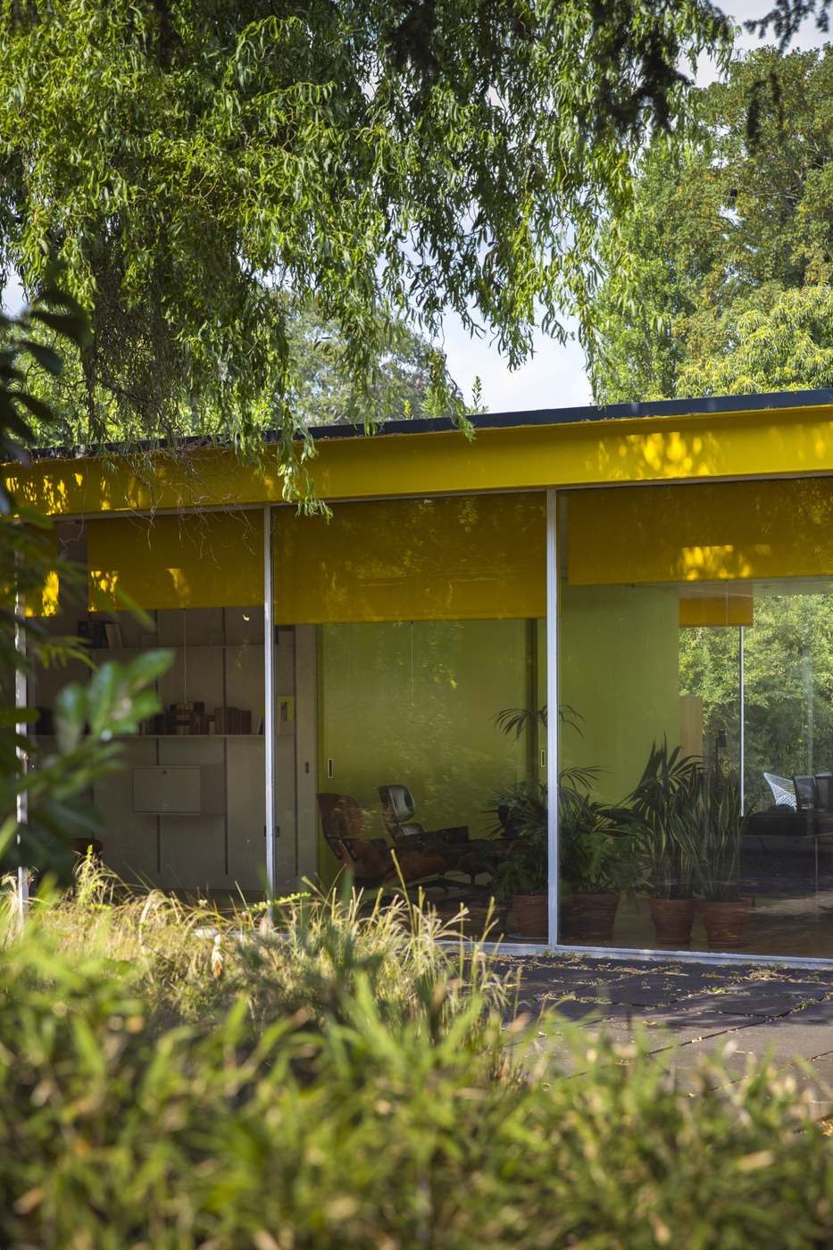 The full-height glazed end wall at 22 Parkside, seen through the garden