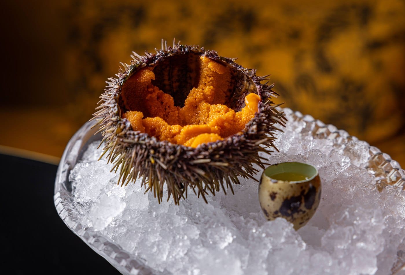 An opened sea urchin packed with orange roe, resting on crushed ice beside a small ceramic cup