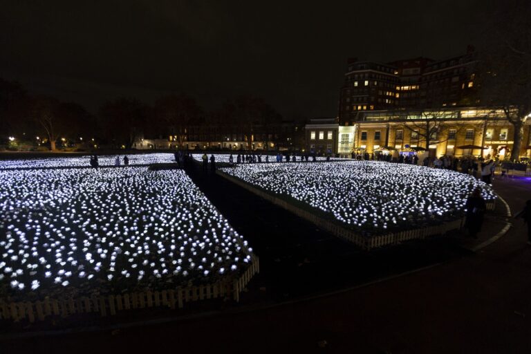 Chelsea’s garden of 30,000 glowing white roses is back, and every rose is dedicated to someone who has died