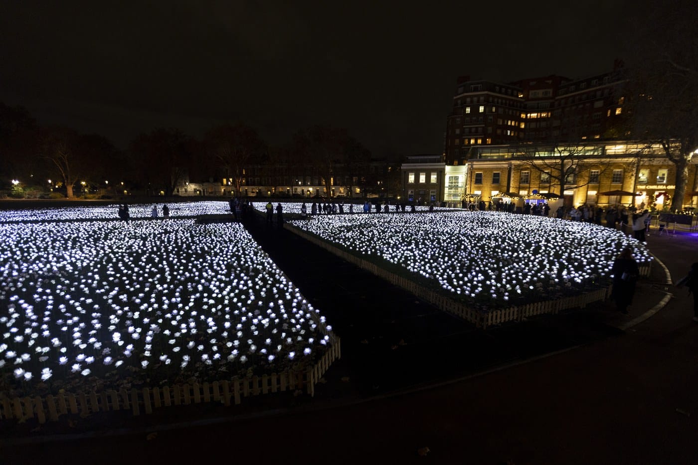 Chelsea’s garden of 30,000 glowing white roses is back, and every rose is dedicated to someone who has died