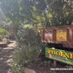 Phoenix Garden: the last of Covent Garden’s seven community gardens is a bomb site with the West End’s only frogs