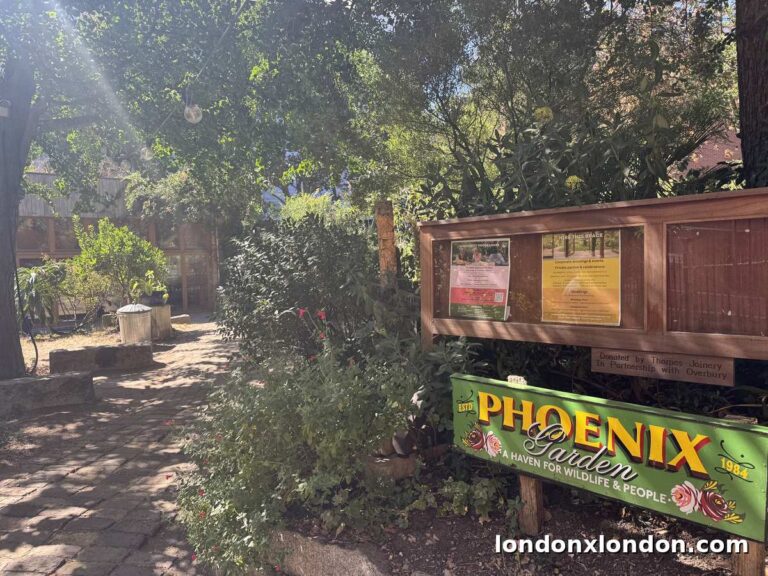 Phoenix Garden: the last of Covent Garden’s seven community gardens is a bomb site with the West End’s only frogs